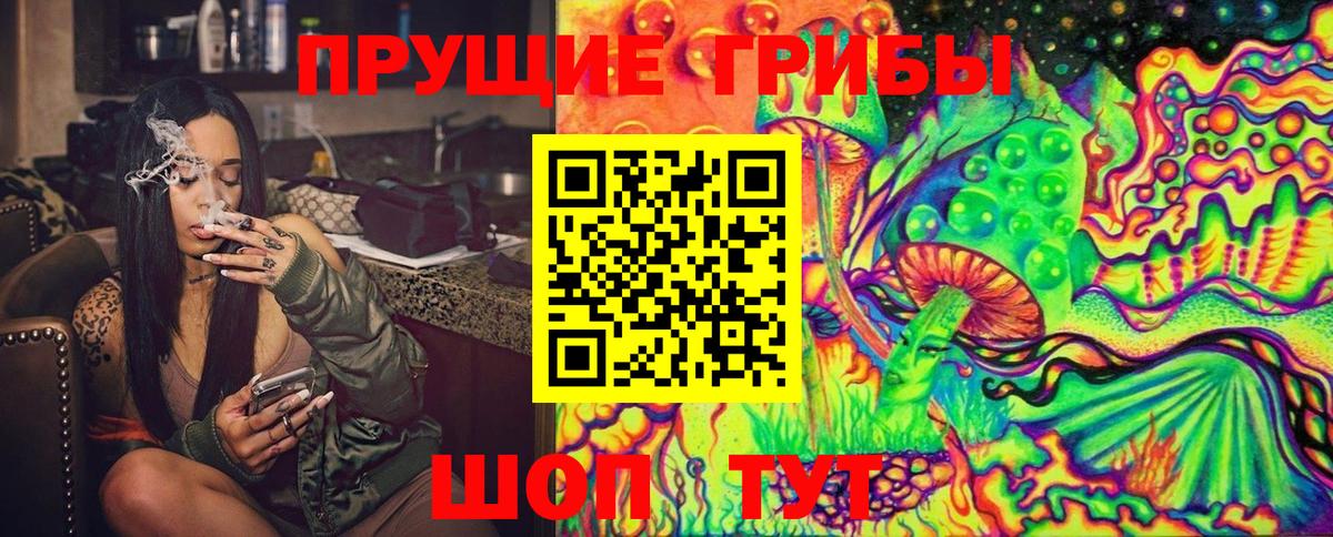Псилоцибиновые грибы Psilocybe  Вход с VPN  Владивосток  Псилоцибиновые грибы Magic Shrooms 