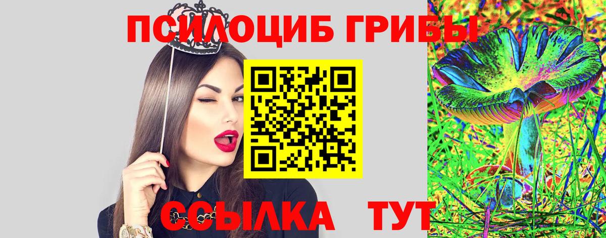 Галлюциногенные грибы прущие грибы Владивосток